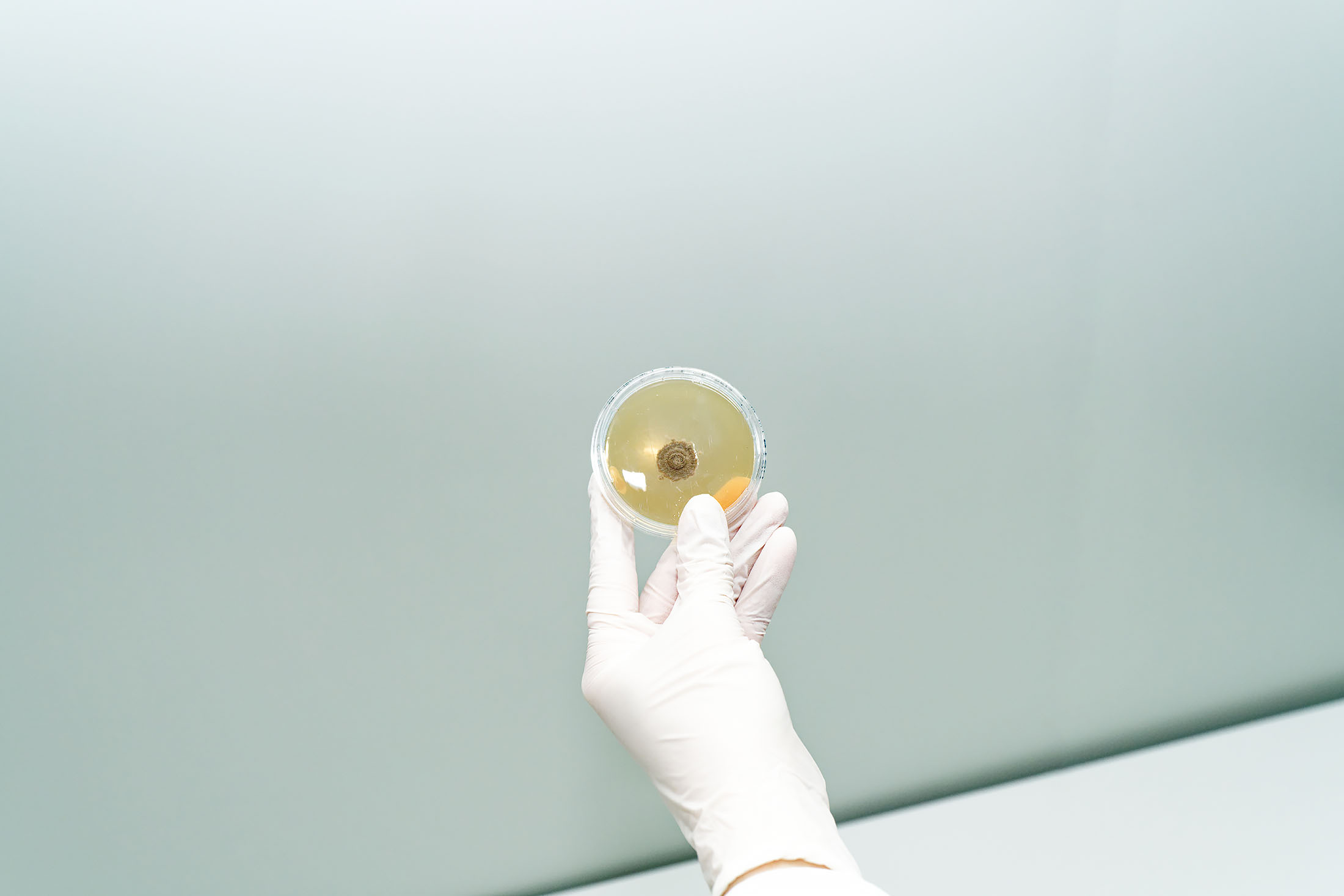 lab_analytics_7